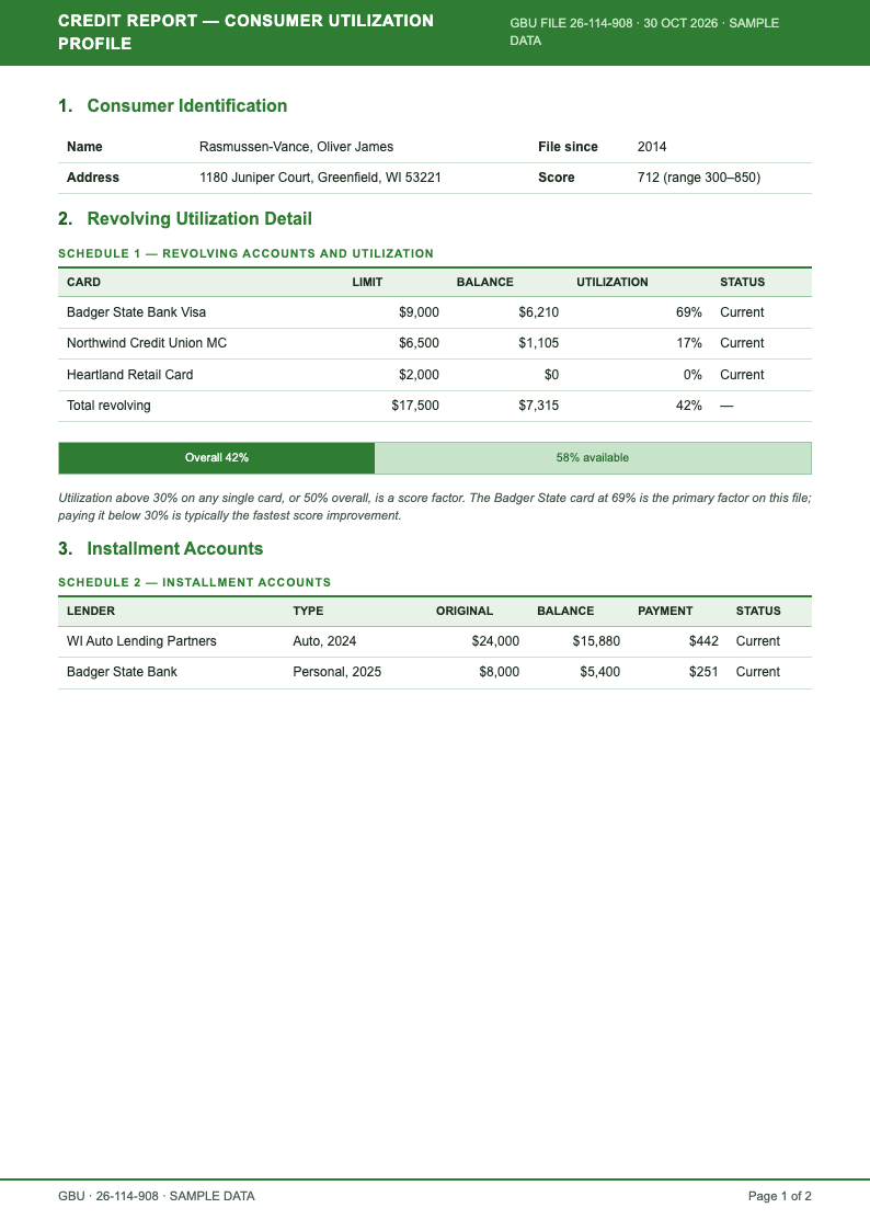 Financial statement credit report